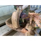 Colander Teak trau - MdHome thumbnail